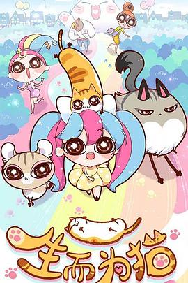 从哪些维度做seo